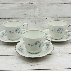 Johann Haviland Blue Garland Bavaria Germany Teacup Saucer Set of 3 6 Pc